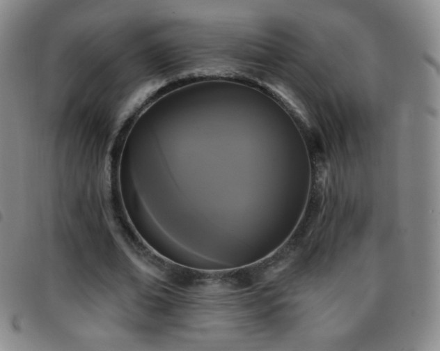 X0000097850678200803141217