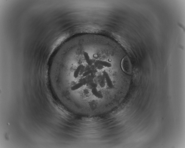 X0000097850679200803141217