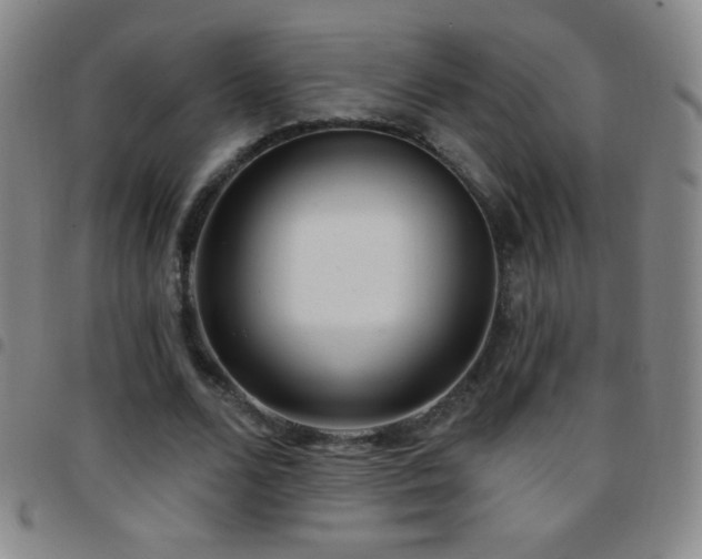 X0000097850680200803141217