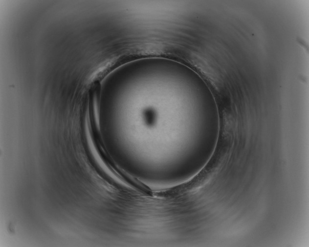 X0000097850681200803141217