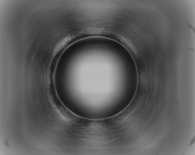 X0000097850682200803141217