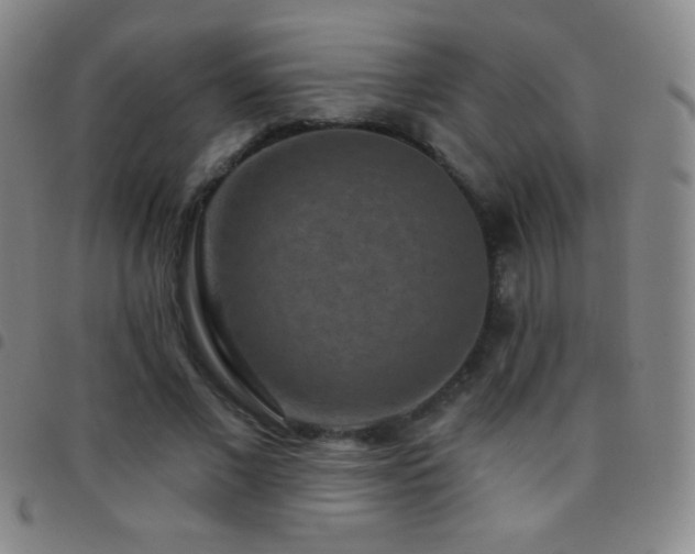 X0000097850685200803141217
