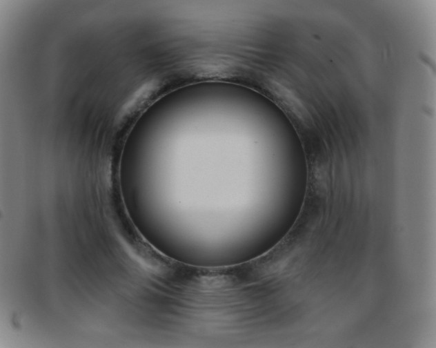 X0000097850686200803141217