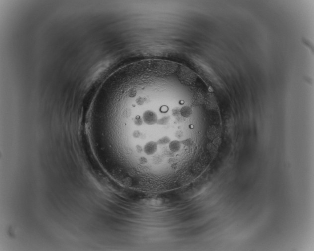 X0000097850687200803141217