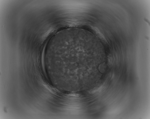 X0000097850691200803141217