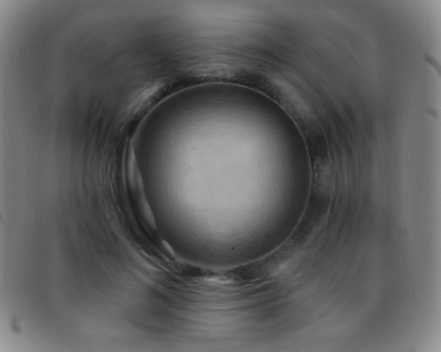 X0000097850692200803141217