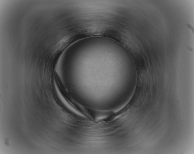 X0000097850693200803141217