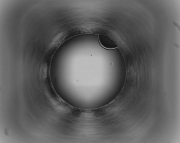 X0000097850694200803141217