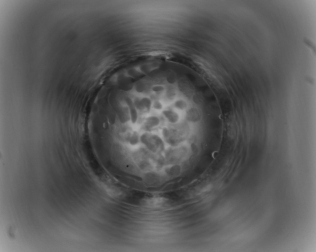 X0000097850695200803141217
