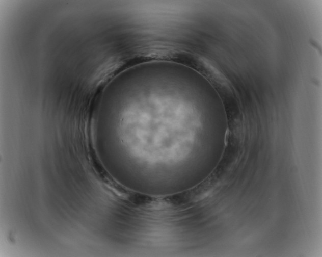 X0000097850696200803141217