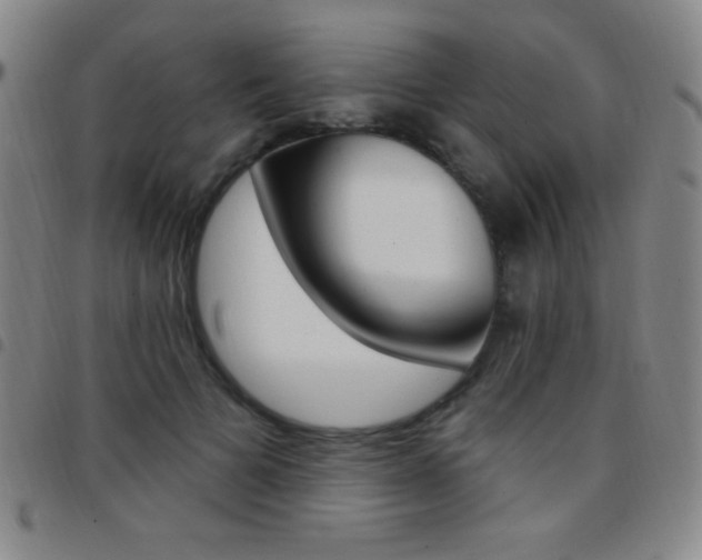 X0000097850697200803141217
