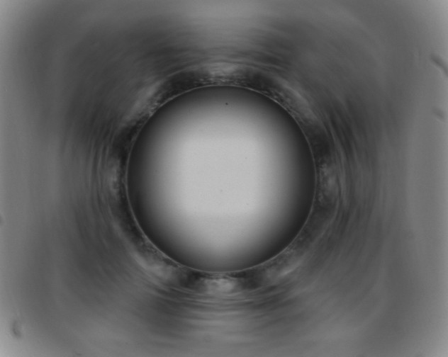 X0000097850698200803141217