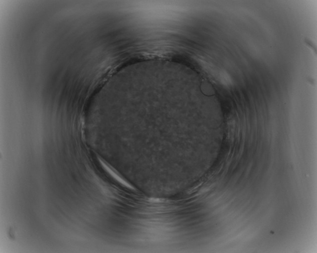 X0000097850699200803141217