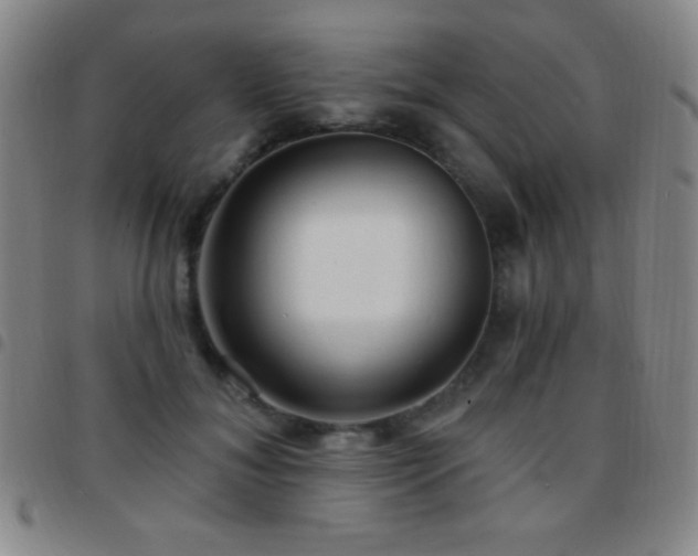 X0000097850700200803141217
