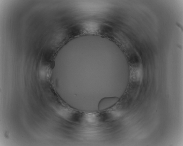 X0000097850701200803141217