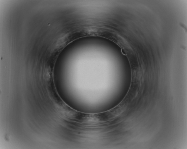X0000097850702200803141217