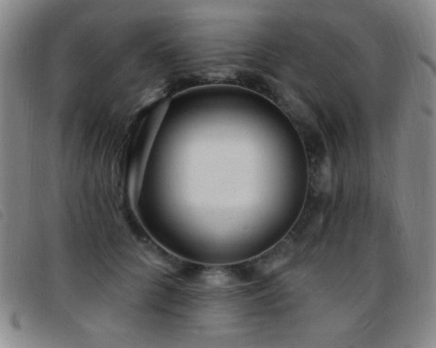 X0000097850704200803141217