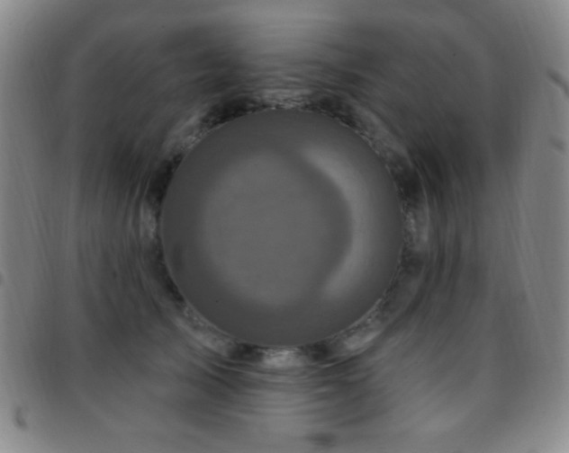 X0000097850705200803141217