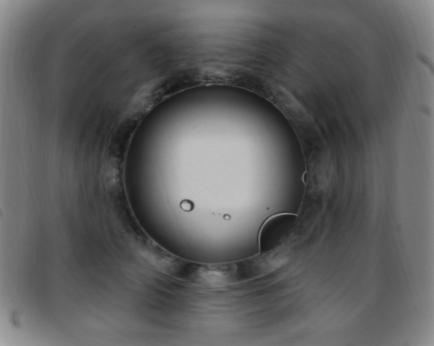 X0000097850706200803141217
