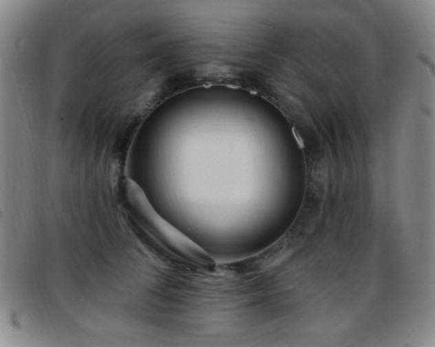 X0000097850708200803141217