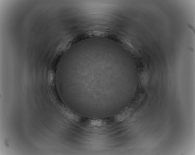 X0000097850709200803141217