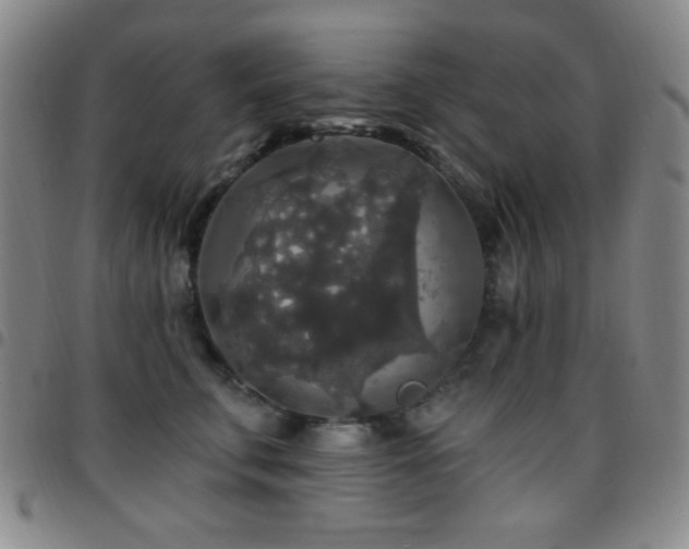 X0000097850711200803141217