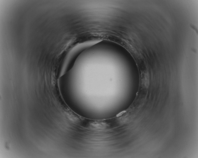 X0000097850712200803141217
