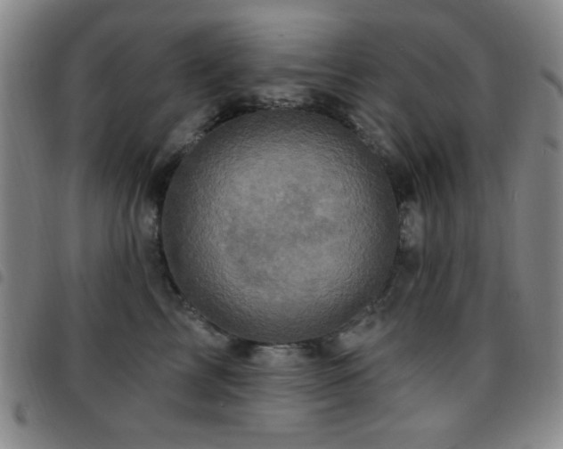 X0000097850713200803141217