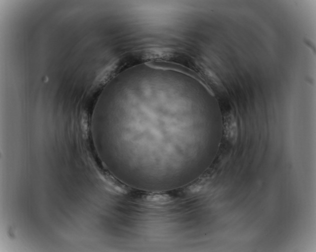 X0000097850716200803141217