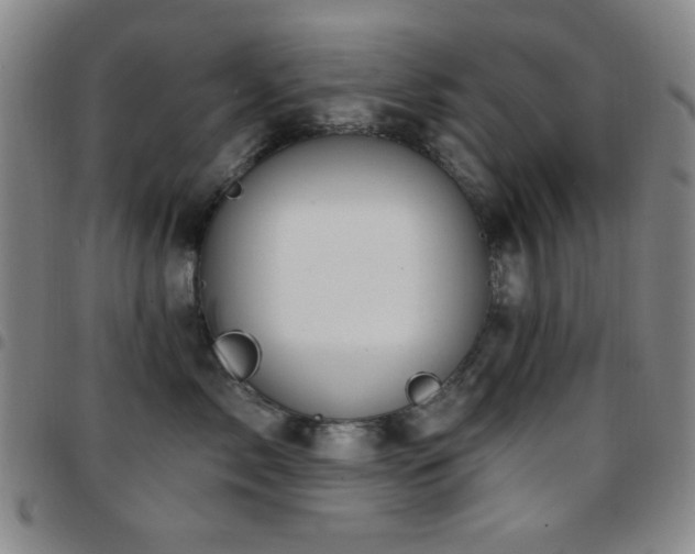 X0000097850717200803141217