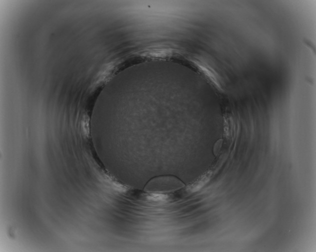 X0000097850718200803141217