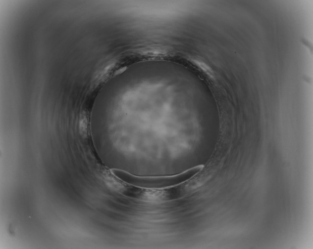 X0000097850720200803141217