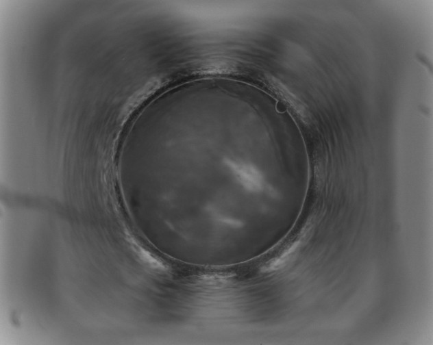 X0000097850721200803141216