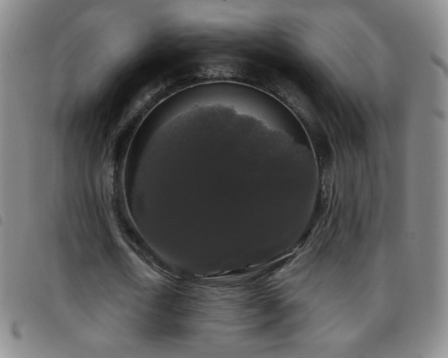 X0000097850722200803141216