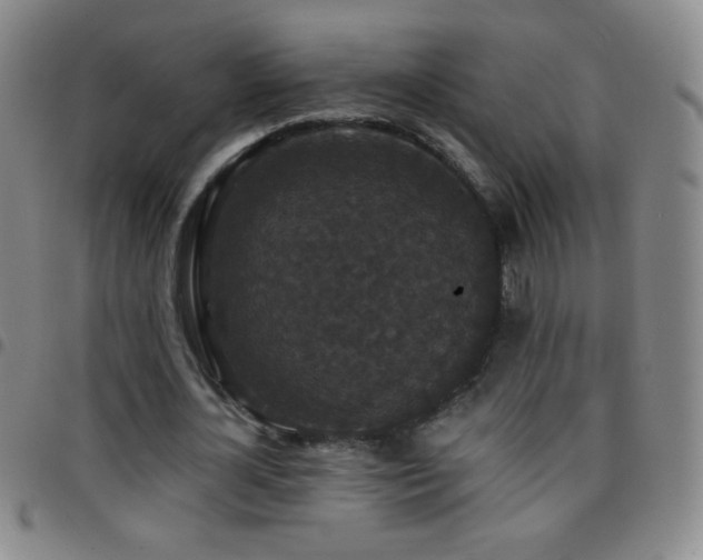 X0000097850724200803141216