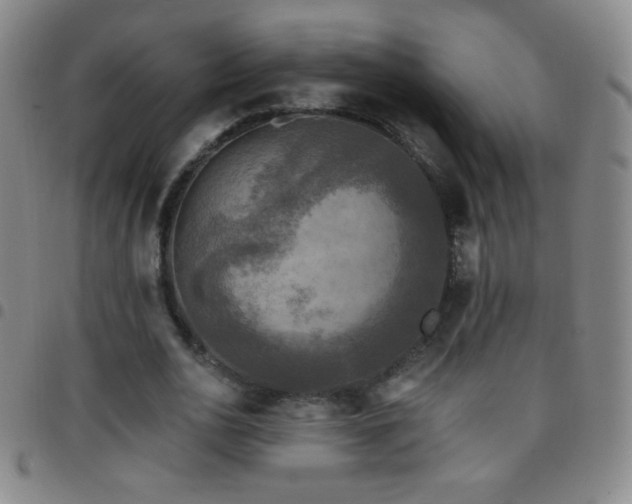 X0000097850726200803141216