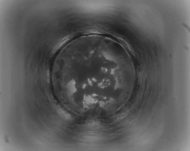 X0000097850729200803141216