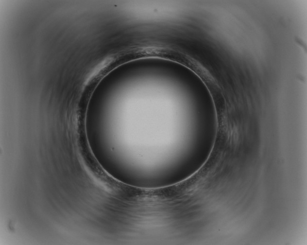X0000097850730200803141216