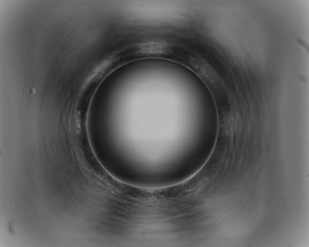 X0000097850731200803141216