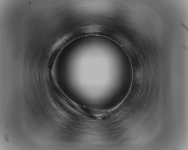 X0000097850732200803141216