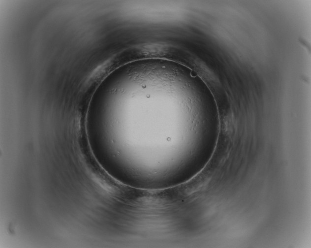 X0000097850733200803141216
