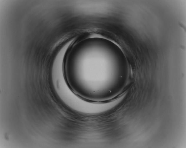 X0000097850735200803141216