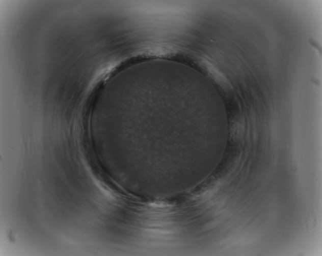 X0000097850736200803141216