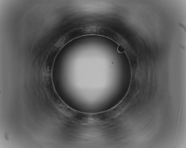 X0000097850737200803141216