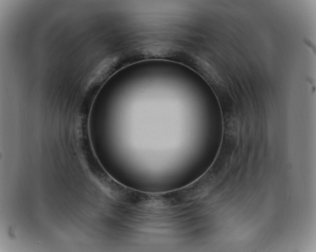 X0000097850738200803141216