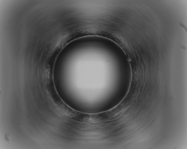 X0000097850739200803141216