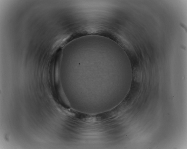 X0000097850740200803141217