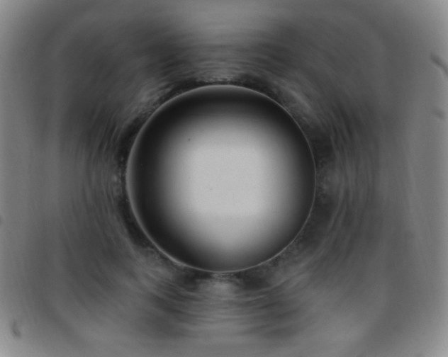X0000097850743200803141217