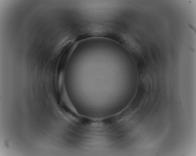 X0000097850744200803141217