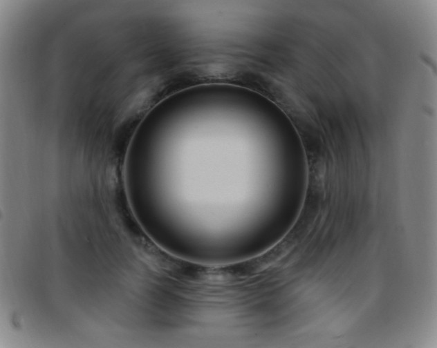 X0000097850746200803141217